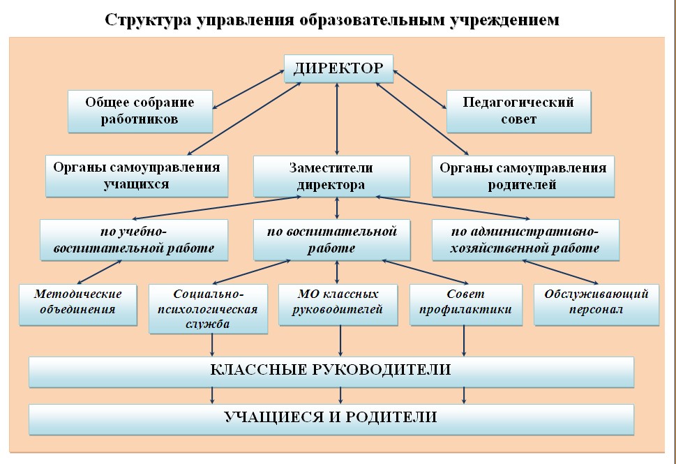 Структура управления образовательным учреждением.