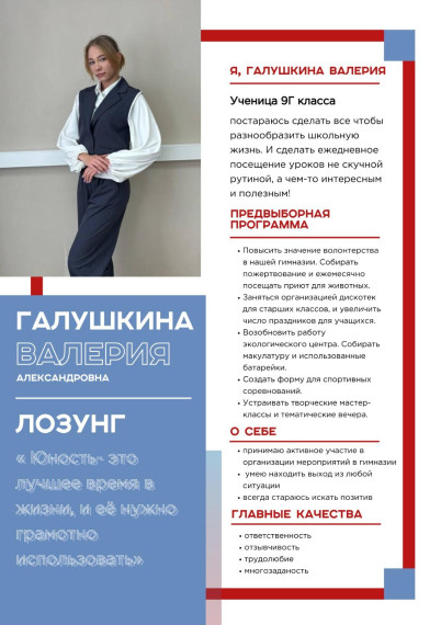 Выборы! Выборы!.